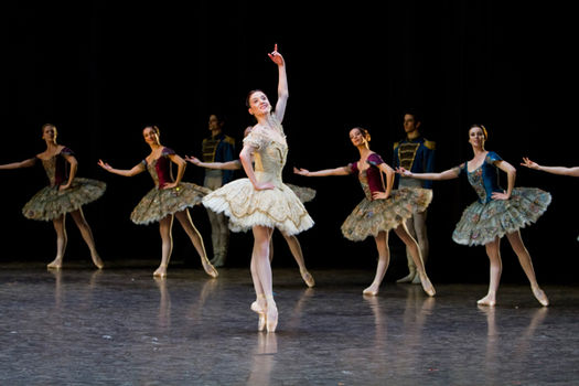 Дэлхийн зургаан том театрын балетын 20 гоцлооч Монголд ирнэ